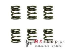 PSYCHIC SPRĘŻYNY SPRZĘGŁOWE KTM SX 65 '09-'16, XC 65 '09-'10 (EBS021)