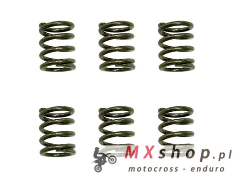 PSYCHIC SPRĘŻYNY SPRZĘGŁOWE KTM SX 65 '09-'16, XC 65 '09-'10 (EBS021)