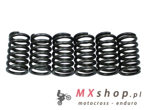 PSYCHIC SPRĘŻYNY SPRZĘGŁOWE KTM SXC 540 '98-'99, LC4 620 ADVENTURE '96-'97, LC4 620 COMPETITION/SUPERMOTO '99, LC4 620 SUPERCOMP