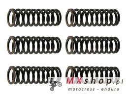 PSYCHIC SPRĘŻYNY SPRZĘGŁOWE SUZUKI RMZ 250 '07-'09, (EBS125)