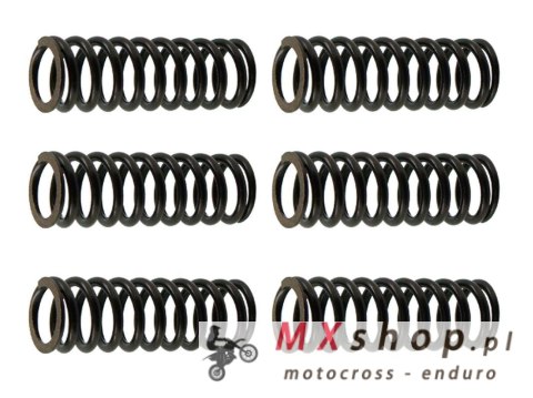PSYCHIC SPRĘŻYNY SPRZĘGŁOWE SUZUKI RMZ 250 '07-'09, (EBS125)