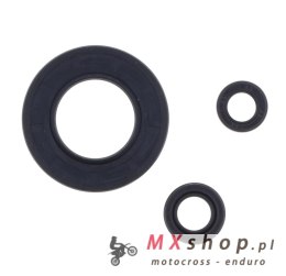 ATHENA KOMPLET (ZESTAW) USZCZELNIACZY SILNIKOWYCH KAWASAKI ZX-10R NINJA '04-'10