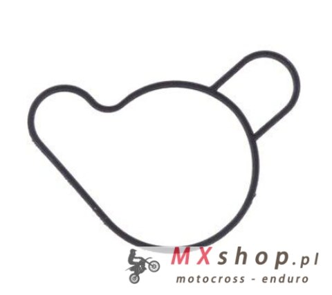 ATHENA USZCZELKA POMPY WODY KTM SX/SXS/XC 50/65 '09-'21 (OEM: 45235053000)