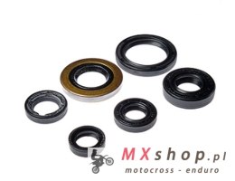 BEARING WORX KOMPLET (ZESTAW) USZCZELNIACZY SILNIKOWYCH HONDA TRX 400EX '05-'08, TRX 400X '09-'14 (822278)