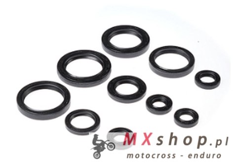 BEARING WORX KOMPLET (ZESTAW) USZCZELNIACZY SILNIKOWYCH HONDA TRX 450R '04-'05 (822237)