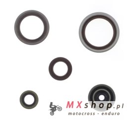 ATHENA KOMPLET (ZESTAW) USZCZELNIACZY SILNIKOWYCH BETA RR 250 / 300 RR RACING '13-'25 (ZASTĘPUJE P400060400011)