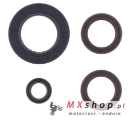 CENTAURO KOMPLET (ZESTAW) USZCZELNIACZY SILNIKOWYCH KTM GS 250 '80-'81 , MX 250 '80-'81