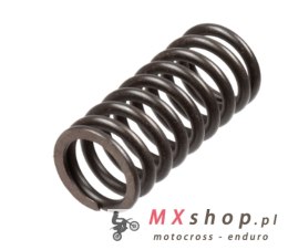 TRW ZF SPRĘŻYNY SPRZĘGŁOWE HONDA VT 1100 C2 / C3 SHADOW '95-'02