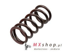 TRW ZF SPRĘŻYNY SPRZĘGŁOWE KAWASAKI ZX-10R NINJA '04-'15
