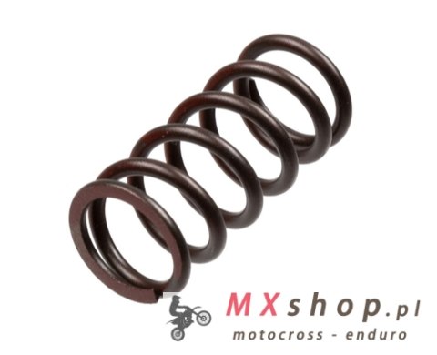 TRW ZF SPRĘŻYNY SPRZĘGŁOWE KAWASAKI ZX-10R NINJA '04-'15