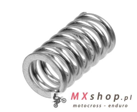 TRW ZF SPRĘŻYNY SPRZĘGŁOWE SUZUKI VL 1500 INTRUDER '98-'08