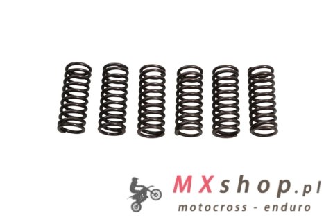 JR WYPRZEDAŻ EBS SPRĘŻYNY SPRZĘGŁOWE HONDA CRF 450R 02-03, CRF 450R 06-08 (6 SZTUK)