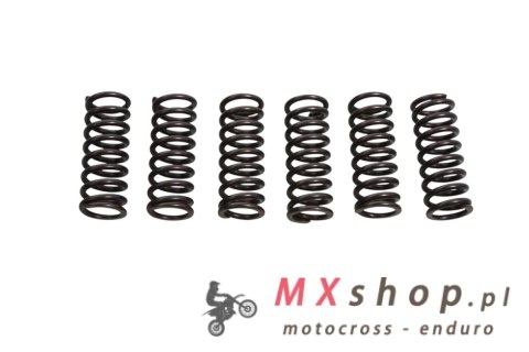 JR WYPRZEDAŻ EBS SPRĘŻYNY SPRZĘGŁOWE SUZUKI RM 125 '93-'98, HONDA CRF 250 '10, (EBS027)