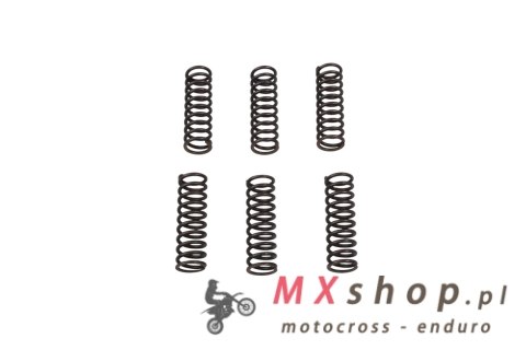 PROX 2025/04 SPRĘŻYNY SPRZĘGŁOWE HONDA CRF 450 R '21-'25, CRF 450 RX '21-'25