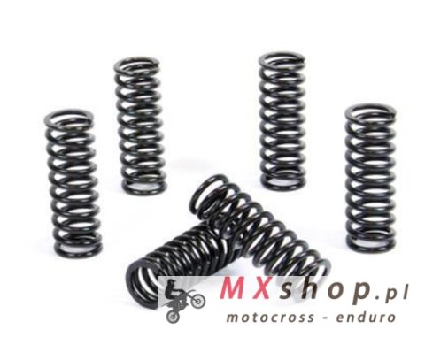 PROX SPRĘŻYNY SPRZĘGŁOWE BETA RR 200 '19-'24