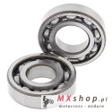 ALL BALLS ŁOŻYSKA WAŁU KORBOWEGO Z USZCZELNIACZAMI KAWASAKI KLX 300/250R, SUZUKI DR350 '90-'99