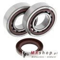 ALL BALLS ŁOŻYSKA WAŁU KORBOWEGO Z USZCZELNIACZAMI KTM SX/EXC 400/450/520/525