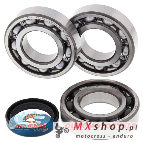 ALL BALLS ŁOŻYSKA WAŁU KORBOWEGO Z USZCZELNIACZAMI POLARIS SPORTSMAN 400/500 HO '01-'03