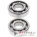 ALL BALLS ŁOŻYSKA WAŁU KORBOWEGO Z USZCZELNIACZAMI SUZUKI LTF250 '85-'86, YAMAHA XT 500 '76-'81, XT 550 (82)