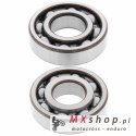 ALL BALLS ŁOŻYSKA WAŁU KORBOWEGO Z USZCZELNIACZAMI SUZUKI LTF250 '85-'86, YAMAHA XT 500 '76-'81, XT 550 (82)