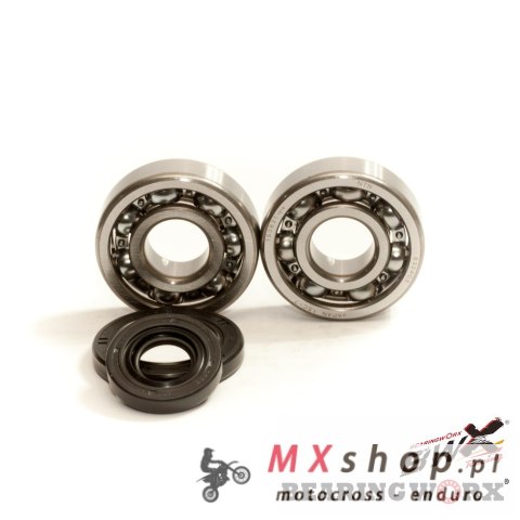 BEARING WORX ŁOŻYSKA WAŁU KORBOWEGO Z USZCZELNIACZAMI KTM SX 65 09-25 (NTN) (MADE IN JAPAN) (24-1103)