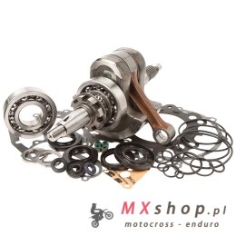 HOT RODS ZESTAW NAPRAWCZY DOŁU SILNIKA YAMAHA GRIZZLY 700 07-13, RHINO 700 08-13 WAŁ KORBOWY STROKER +5MM = 727CCM, ŁOŻYSKA, USZ