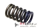 PSYCHIC SPRĘŻYNA ZAWORU SSĄCEGO HONDA CRF 450R '02-'08, TRX 450R '06-'09 (MX-09502IS)