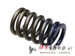 PSYCHIC SPRĘŻYNA ZAWORU SSĄCEGO HONDA CRF 450R '02-'08, TRX 450R '06-'09 (MX-09502IS)
