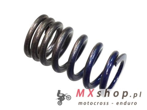 PSYCHIC SPRĘŻYNA ZAWORU SSĄCEGO KAWASAKI KXF 250 '04-'06, SUZUKI RMZ 250 '04-'06 (MX-09509IS)