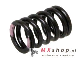 PSYCHIC SPRĘŻYNA ZAWORU SSĄCEGO KAWASAKI KXF 250 '11-'16 (MX-09539IS)