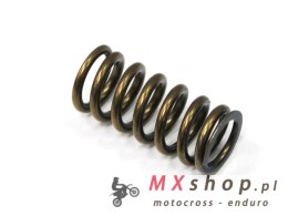 PSYCHIC SPRĘŻYNA ZAWORU SSĄCEGO YAMAHA YZF 250 '01-'13 / WRF 250 '01-'13, GAS GAS EC 250F (10-15), 300F (13-15) (MX-09519IS)