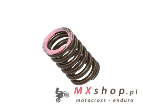 PSYCHIC SPRĘŻYNA ZAWORU SSĄCEGO YAMAHA YZF 250 (YZ 250F) '19-20, WRF 250 (WR 250F) '20