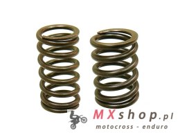 PSYCHIC SPRĘŻYNA ZAWORU SSĄCEGO/WYDECHOWEGO KTM 450/520/525, BETA RR 400/450/525 ENDURO