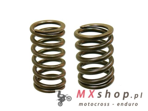 PSYCHIC SPRĘŻYNA ZAWORU SSĄCEGO/WYDECHOWEGO KTM 450/520/525, BETA RR 400/450/525 ENDURO