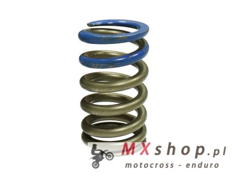 PSYCHIC SPRĘŻYNA ZAWORU SSĄCEGO/WYDECHOWEGO KTM SXF350 '13-'15, HUSQVARNA FE350 '14-'16