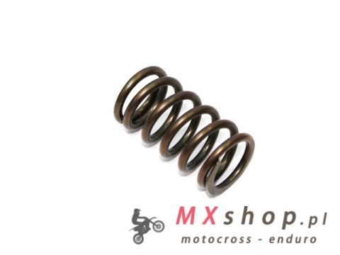 PSYCHIC SPRĘŻYNA ZAWORU SSĄCEGO/WYDECHOWEGO YAMAHA YZF 450 03-09 / WR450F '03-'15, YFZ 450 '04-'09, YFZ 450 R/X 09-15 (MX-09521S