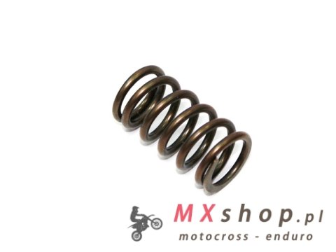 PSYCHIC SPRĘŻYNA ZAWORU SSĄCEGO/WYDECHOWEGO YAMAHA YZF 450 03-09 / WR450F '03-'15, YFZ 450 '04-'09, YFZ 450 R/X 09-15 (MX-09521S