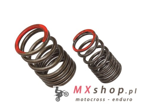 PSYCHIC SPRĘŻYNA ZAWORU WYDECHOWEGO KAWASAKI KXF 450 (KX 450F) '16-18