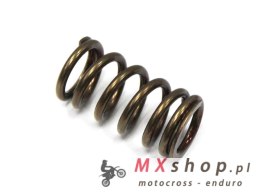 PSYCHIC SPRĘŻYNA ZAWORU WYDECHOWEGO YAMAHA YZF 250 '01-'13 / WRF 250 '01-'13, GAS GAS EC 250F (10-15), 300F (13-15) (MX-09519ES)