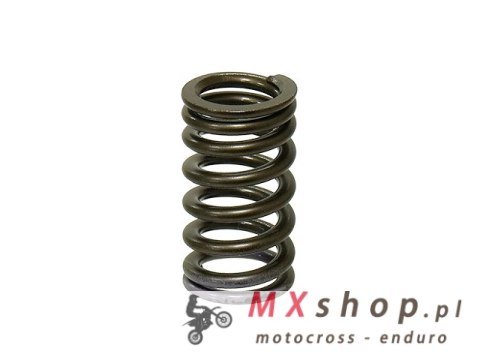 PSYCHIC SPRĘŻYNA ZAWORU WYDECHOWEGO YAMAHA YZF 250 '14-'16 (MX-09553ES)