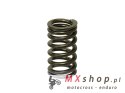 PSYCHIC SPRĘŻYNA ZAWORU WYDECHOWEGO YAMAHA YZF 250 '14-'16 (MX-09553ES)