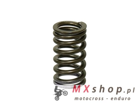 PSYCHIC SPRĘŻYNA ZAWORU WYDECHOWEGO YAMAHA YZF 250 '14-'16 (MX-09553ES)