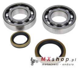 ALL BALLS ŁOŻYSKA WAŁU KORBOWEGO Z USZCZELNIACZAMI BETA EVO 4T 250 '09-'18, EVO 4T 300 '09-'21