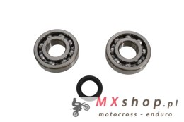 ALL BALLS ŁOŻYSKA WAŁU KORBOWEGO Z USZCZELNIACZAMI POLARIS PHOENIX 200 '05-'15, SAWTOOTH 200 '06-'07