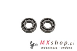 ALL BALLS ŁOŻYSKA WAŁU KORBOWEGO Z USZCZELNIACZAMI YAMAHA TTR 50 '24, YFA1 '89-'04, YFM 125 GRIZZLY '04-'13