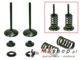 PSYCHIC ZAWORY SSĄCE (KOMPLET 2 SZT. ZAWORÓW ZE SPRĘŻYNAMI I PODKŁADKAMI) HONDA CRF 450 R '02-'08, TRX 450 R / ER '06-'14 STALOW
