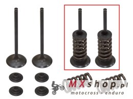 PSYCHIC ZAWORY SSĄCE (KOMPLET 2 SZT. ZAWORÓW ZE SPRĘŻYNAMI I PODKŁADKAMI) HUSABERG FE 250 '13, KTM EXCF 250 '08-'14 (MX-09551I)