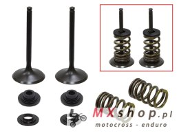 PSYCHIC ZAWORY SSĄCE (KOMPLET 2 SZT. ZAWORÓW ZE SPRĘŻYNAMI I PODKŁADKAMI) SUZUKI RMZ 450 '08-'15, RMX 450 '10-'14 STALOWE (MX-09