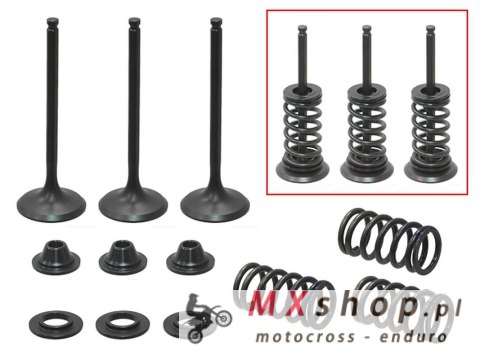 PSYCHIC ZAWORY SSĄCE (KOMPLET 2 SZT. ZAWORÓW ZE SPRĘŻYNAMI I PODKŁADKAMI) YAMAHA YZF 450 '03-'09, WR 450 F '03-'15, YFZ 450 '03-