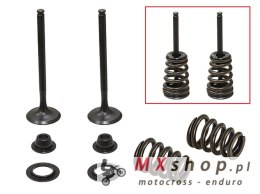 PSYCHIC ZAWORY WYDECHOWE (KOMPLET 2 SZT. ZAWORÓW ZE SPRĘŻYNAMI I PODKŁADKAMI) BETA RR 400 / 450 / 525 ENDURO '05-'07, HUSABERG F